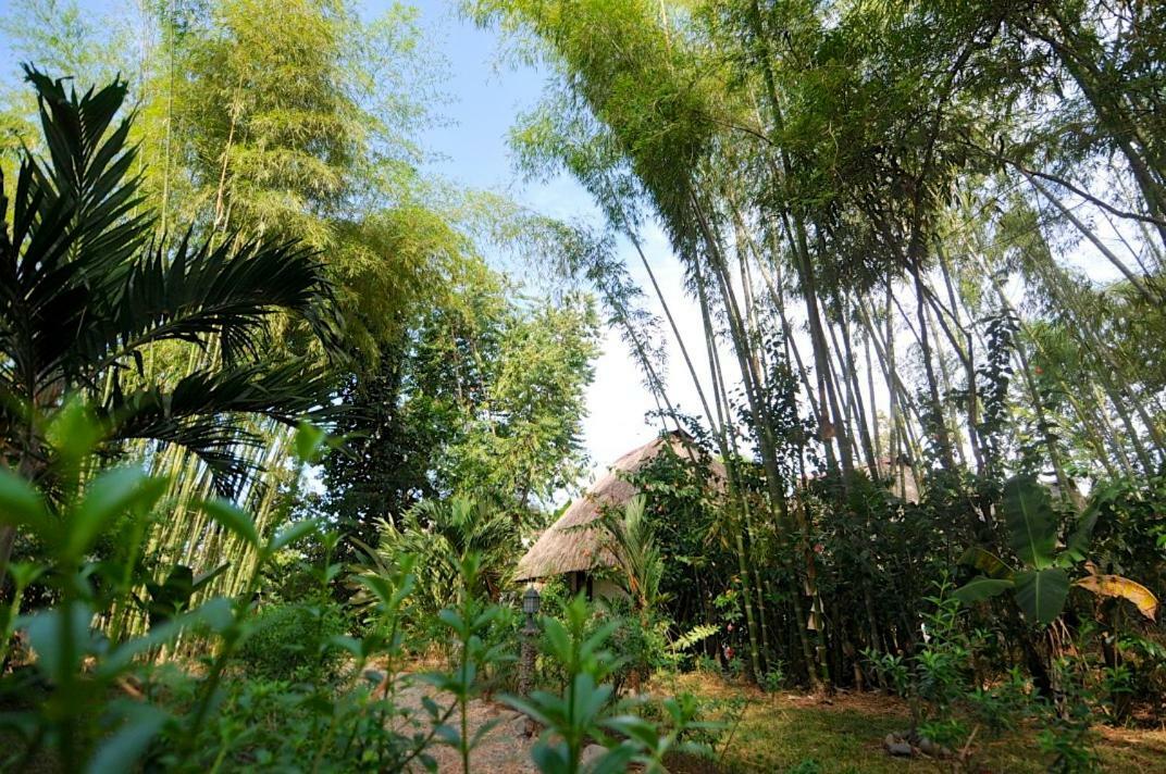 Naturalmente Boutique Bungalows Y Cocina Mediterranea Лас-Лахас Экстерьер фото